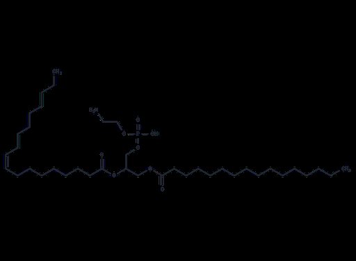 1-Palmitoyl-2-oleoylphosphatidylethanolamine