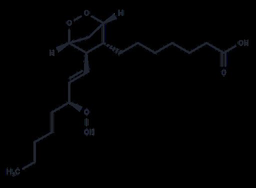 Prostaglandin G1