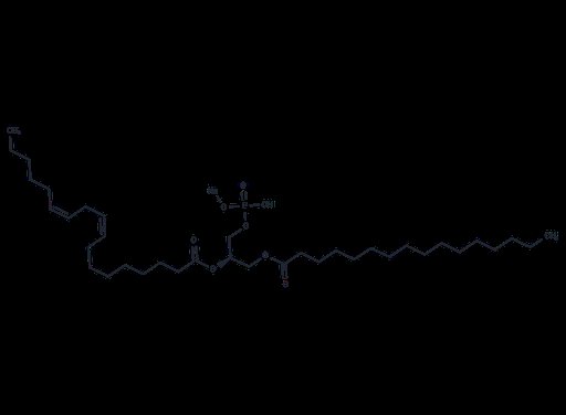 16:0-18:2 PA sodium