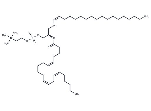 1-1(Z)-Octadecenyl-2-arachidonoyl-sn-glycero-3-PC
