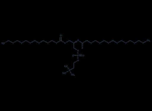 1-Myristoyl-2-palmitoyl-sn-glycero-3-phosphocholine