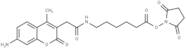 AMCA-X, SE [3-(7-amino-4-methyl-2-oxo-2H-chromen-3-yl)propanoic acid, succinimidyl ester]