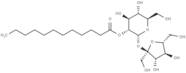 Sucrose Monododecanoate