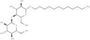 n-Dodecyl-β-D-Thiomaltopyranoside