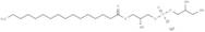 LysoFos Glycerol 16