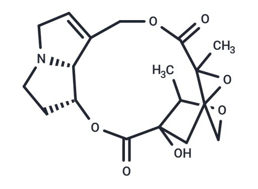 Adonifoline