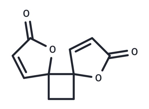 (Rac)-Anemonin