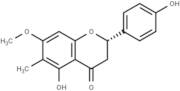 7-O-Methylporiol