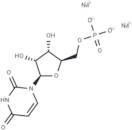 Uridine 5'-monophosphate disodium salt