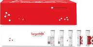 Thrombopoietin Protein, Mouse, Recombinant