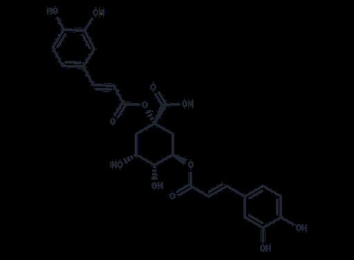 1,3-Dicaffeoylquinic acid (Standard)
