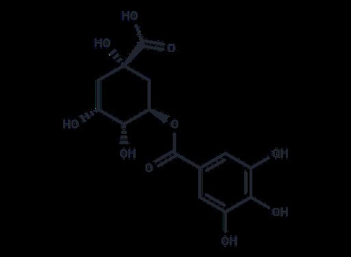 Theogallin (Standard)