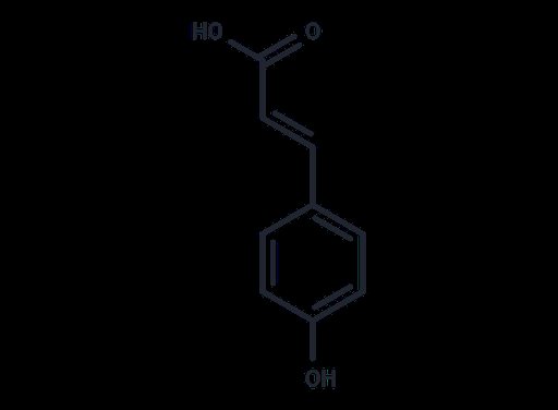 p-Coumaric acid (Standard)