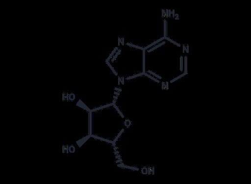 Adenosine (Standard)