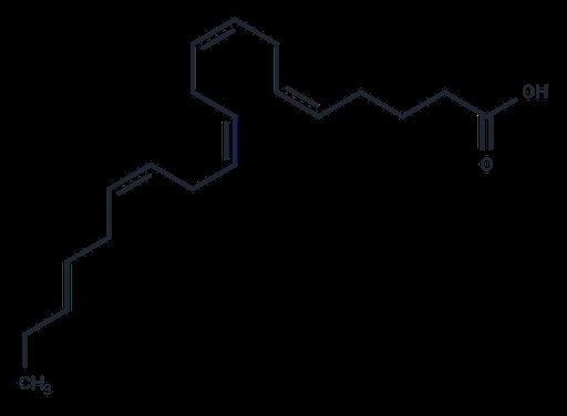Arachidonic acid (Standard)