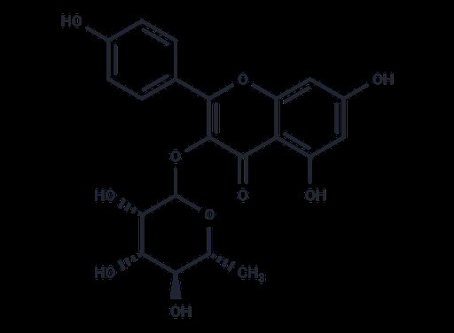 Afzelin (Standard)