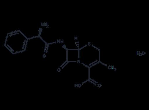 Cephalexin monohydrate (Standard)