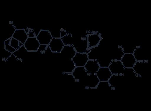 Primulasaponin 1 (Standard)