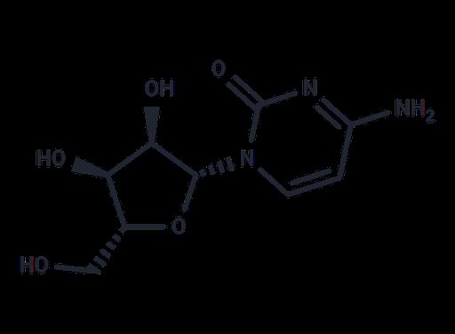 Cytidine (Standard)