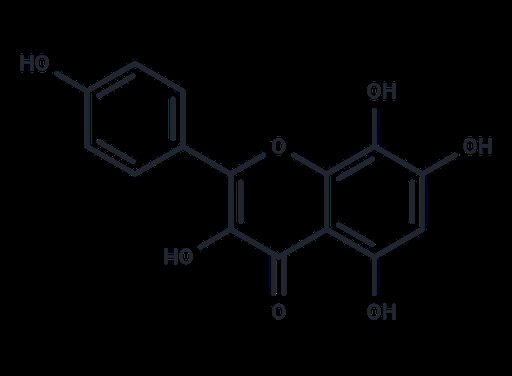 Herbacetin (Standard)