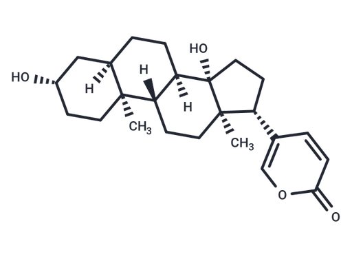 Bufalin (Standard)