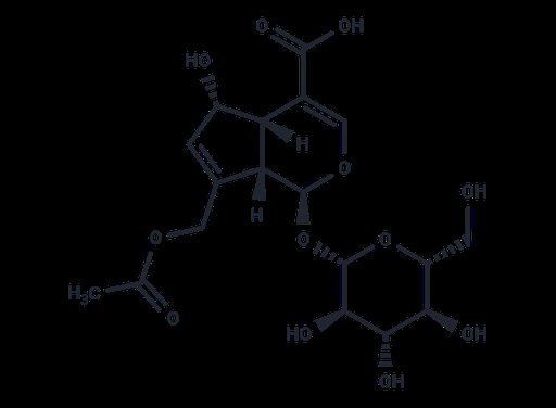 Asperulosidic acid (Standard)