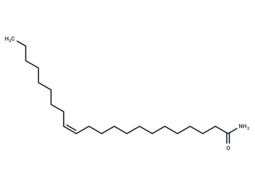 Erucylamide (Standard)