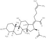 Fusidic Acid (Standard)