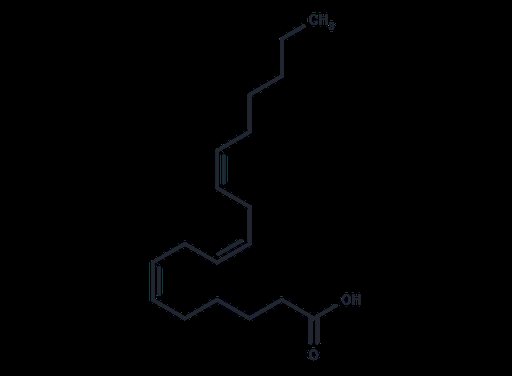 γ-Linolenic acid (Standard)