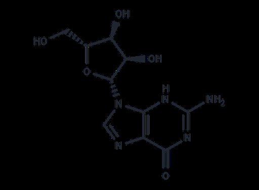 Guanosine (Standard)