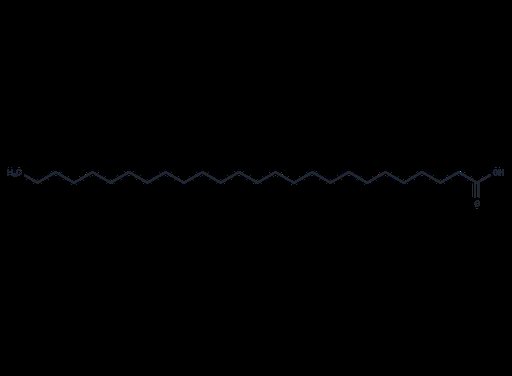 Hexacosanoic acid (Standard)