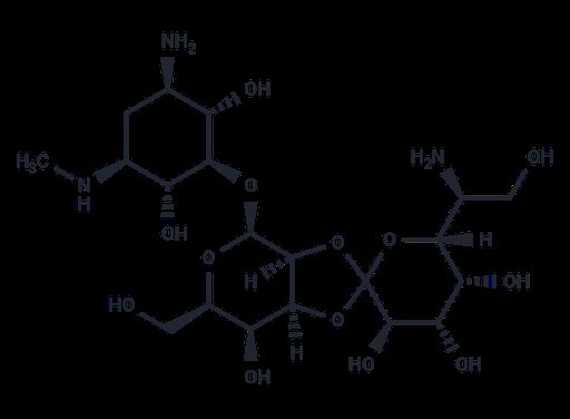 Hygromycin B (Standard)