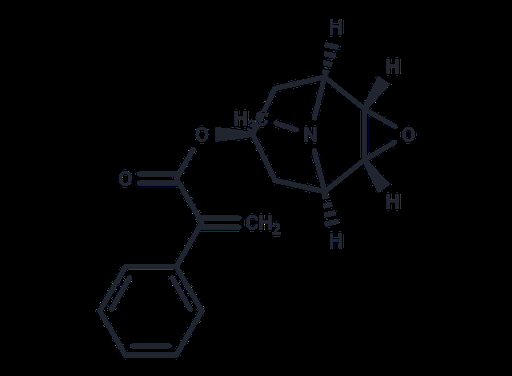 Apohyoscine (Standard)