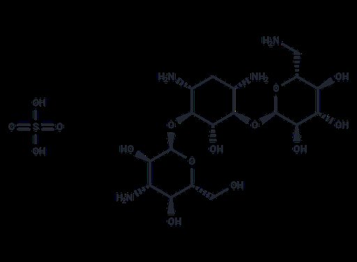Kanamycin sulfate (Standard)