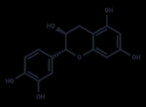 Catechin (Standard)
