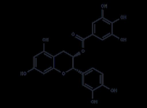 (-)-Catechin gallate (Standard)