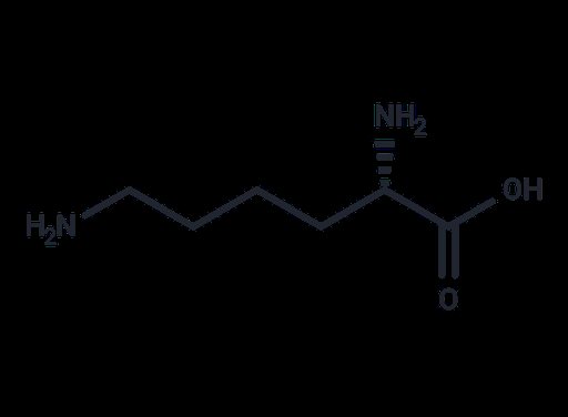 L-Lysine (Standard)