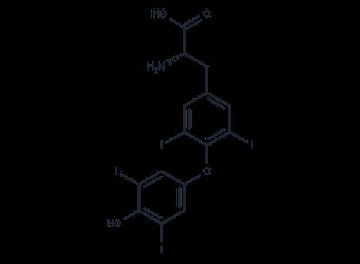 L-Thyroxine (Standard)