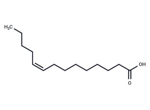 Myristoleic acid (Standard)