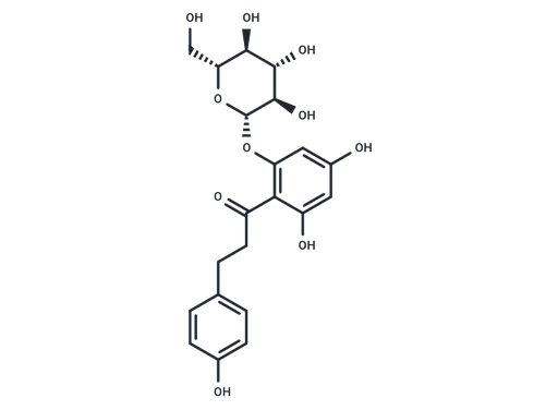Phlorizin (Standard)