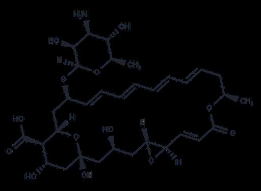 Natamycin (Standard)