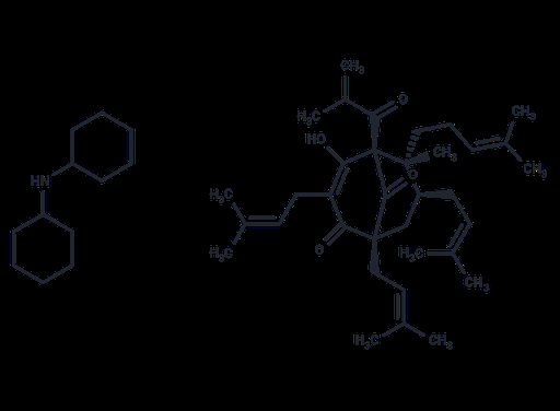 Hyperforin dicyclohexylammonium salt (Standard)