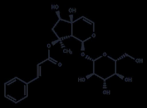 Harpagoside (Standard)