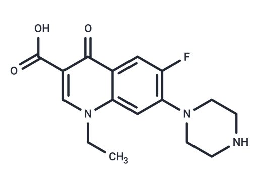 Norfloxacin (Standard)