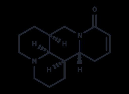 Sophocarpine (Standard)