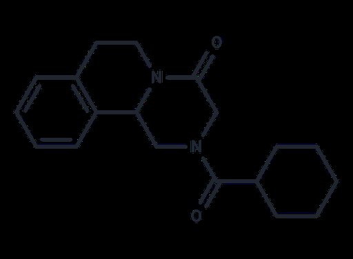 Praziquantel (Standard)