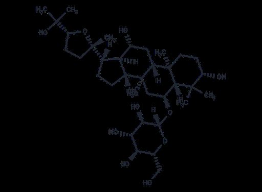 Pseudoginsenoside RT5 (Standard)