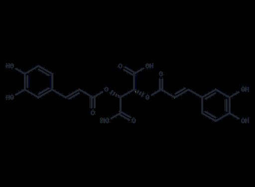 L-Chicoric Acid (Standard)