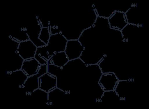 Chebulinic acid (Standard)