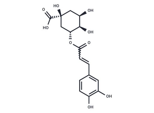 Chlorogenic Acid (Standard)